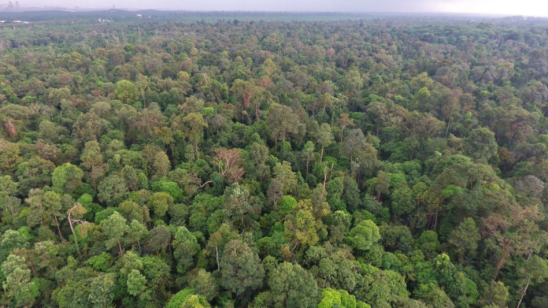 3 Selangor reps reiterate opposition to Kuala Langat forest degazettement