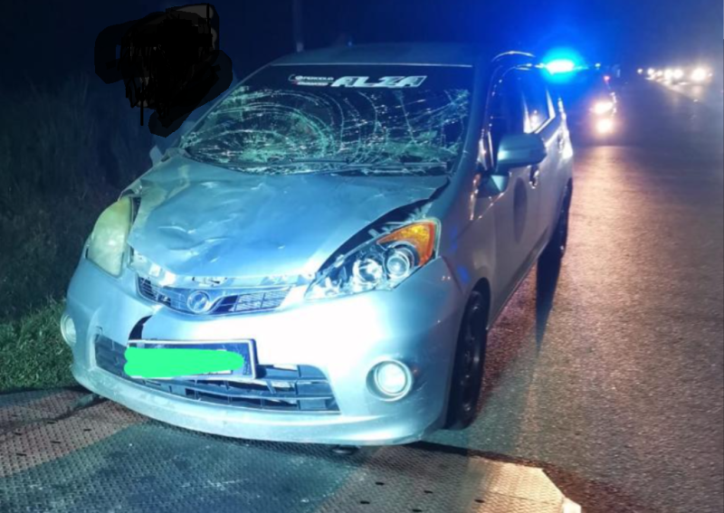 Couple escapes unhurt as car crashes into crossing elephants