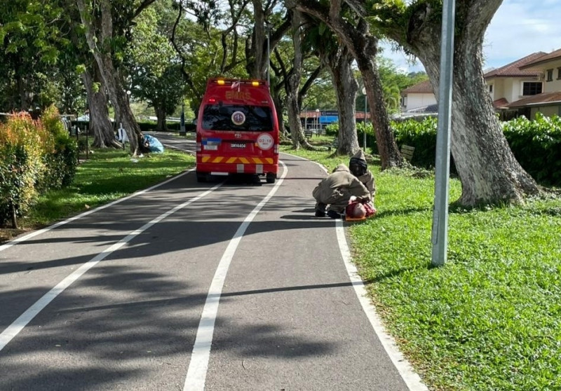 Senior citizen dies after being swarmed by bees in Miri
