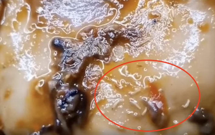 MoH orders closure of mee tonggek stall after worms found in food