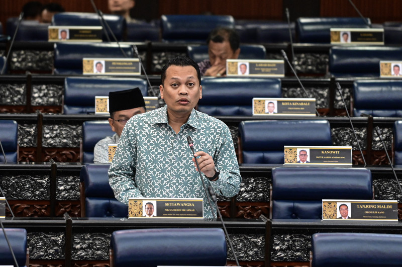Targeted T20 electricity subsidy to be announced by year-end: Nik Nazmi