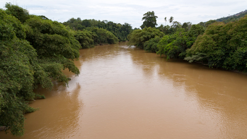 ‘Our rivers are dying, so where is water resources law?’