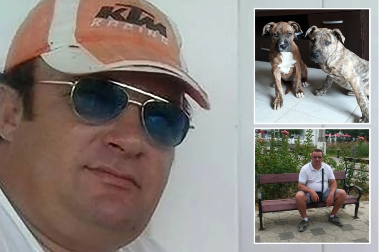 Man's body believed to have been eaten by his 3 pet pit bulls