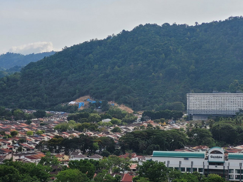Nearly half of Penang island's non-built land under forest cover, says council