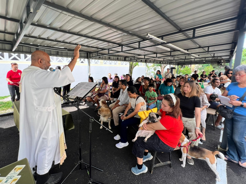 Catholics around the country bring pets for special blessing