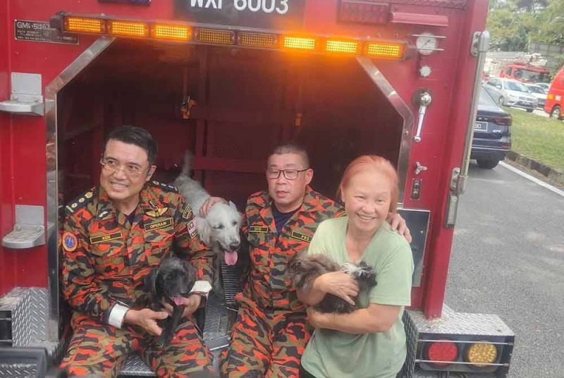 Animal rescuers diligent in helping out in gas line fire