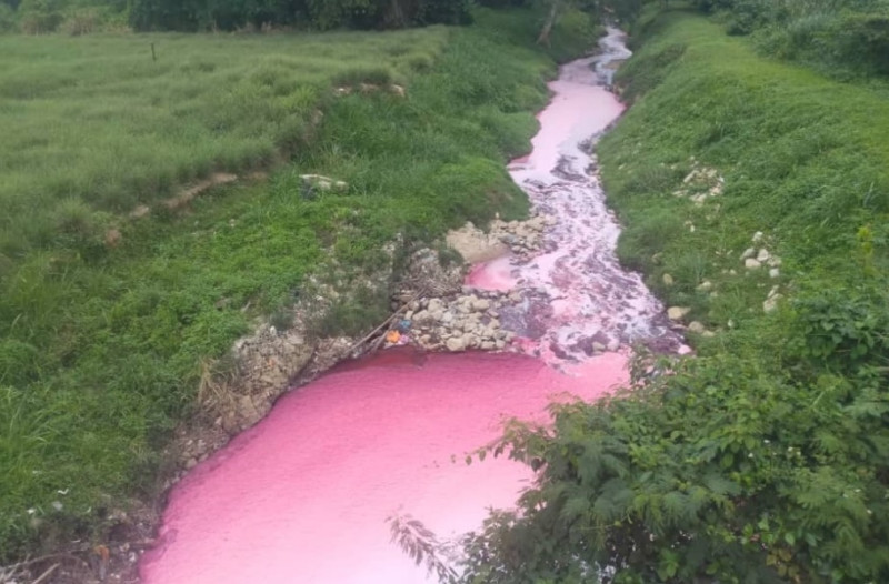 Pink coloured discharge discovered in Sungai Kabul