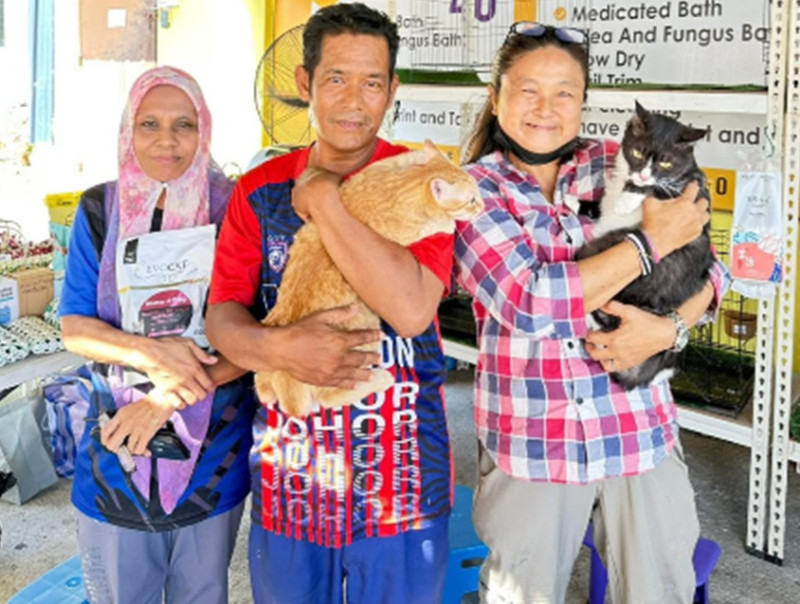 Melaka: Nine rescued cats find new, loving homes