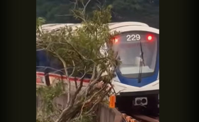 A fallen branch, a familiar failure