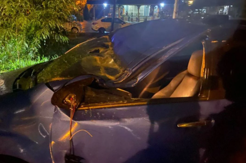 Terrifying moment for mother and son as tree falls on car in Shah Alam