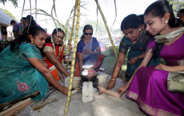Fresh start, grateful hearts: devotees reflect on Ponggal’s significance
