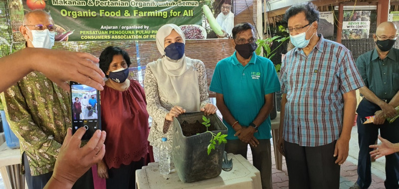 Proper govt funding can propel sustainable farming: Consumers’ Association of Penang president