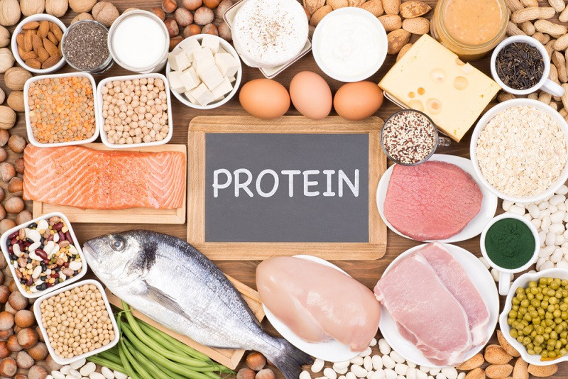 Basic things you should know about protein shakes 