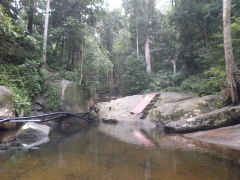 Kedah denies logging at Puncak Janing forest, as locals suffer tainted water supply