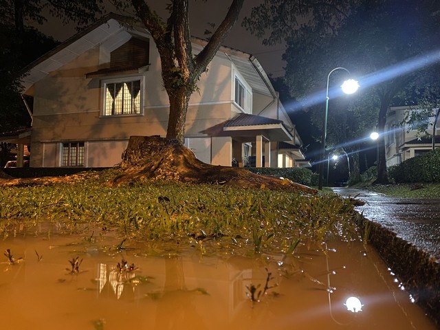 Urgent need to enhance flood mitigation measures, stresses CAP