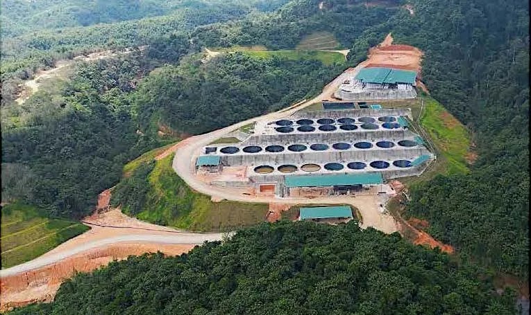 Authorities advance rare earth industry through Federal-State collaboration