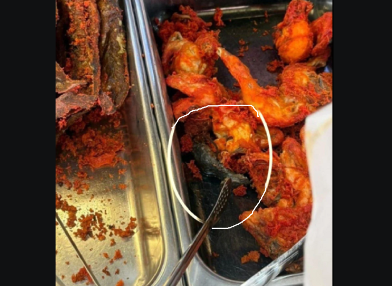 Penang: Nurse finds fried rat in chicken tray