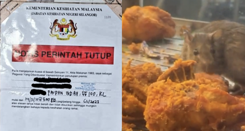 MPAJ to revoke eatery’s licence after viral video of rat munching on fried chicken