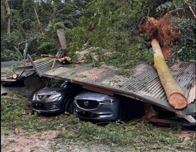 Dozens of trees fall in Damansara; several vehicles damaged