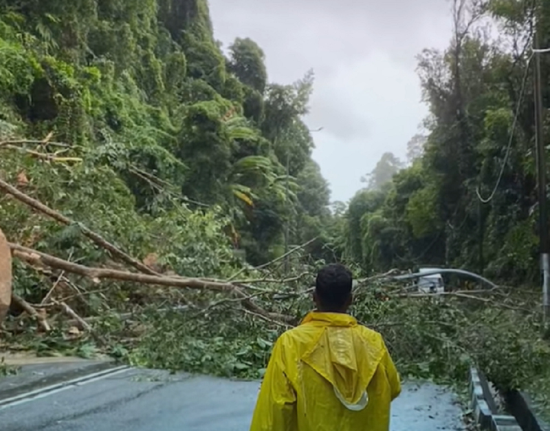 Heavy rains, landslides, falling trees create chaos for Penangites