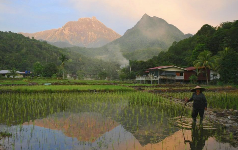 Sabah grapples with rice price surge amid escalating import costs