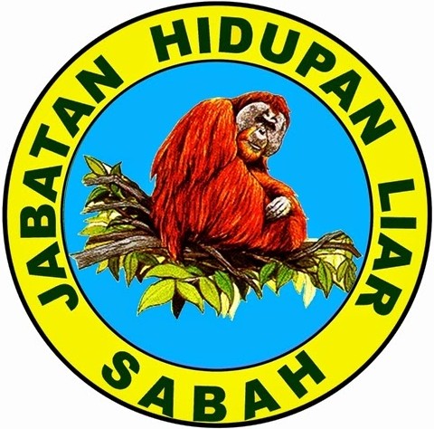 Sabah Wildlife officers shoot dead man-eating crocodile