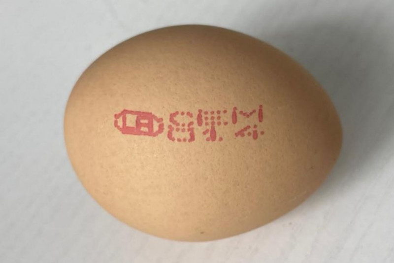 [UPDATED] S’pore recalls eggs from another M’sian farm over Salmonella