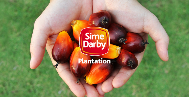 Sime Darby Plantation sees turnaround in FY20 with RM1.2 bil profit