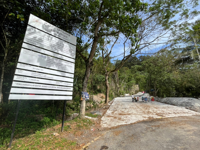 Environmental watchdog flags suspicious clearings in S’gor forest reserves