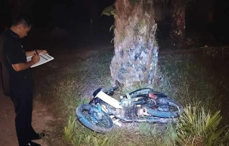 Elder brother killed, younger sibling injured after motorcycle crashes into palm tree in Jempol