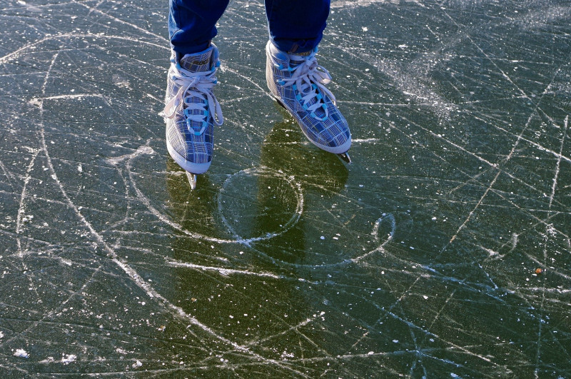 Polish skating rink becomes florist to bypass virus rules