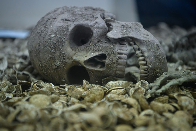 Gua Kepah prehistoric skeletal remains expected back in Penang by year end