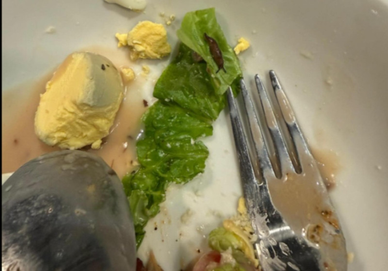 Special menu? Man finds live slug ‘moving’ in his salad