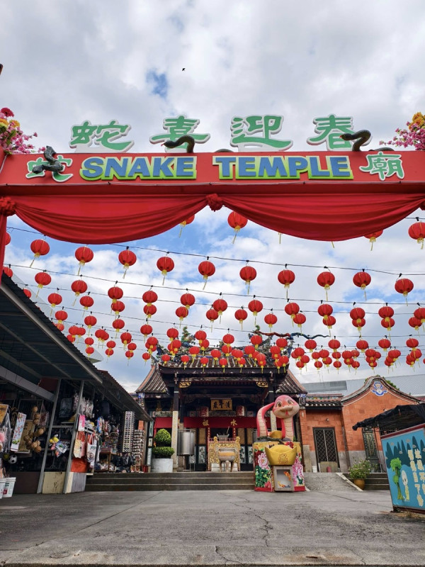 Crowds throng popular Penang Snake Temple for prayers