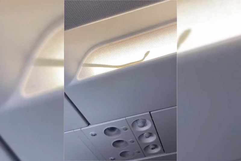 Reptilian presence forces diversion of AirAsia flight