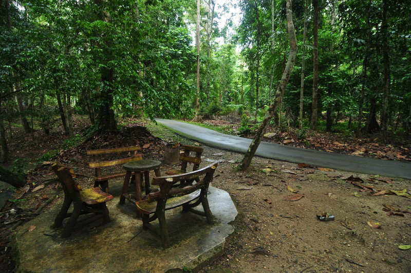 All campsites in high-risk areas to close immediately: Pahang Forestry Dept