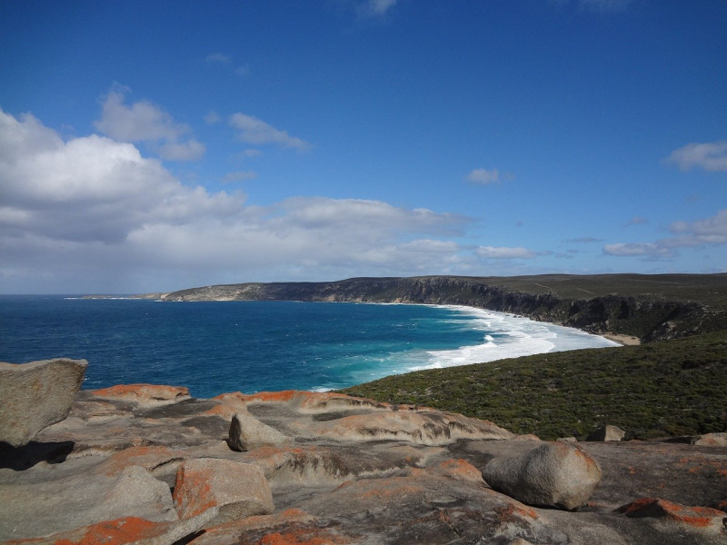 South Australia announces ‘circuit-breaker’ lockdown