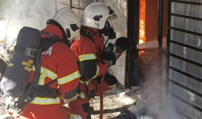 Langkawi: 27 cats killed in house fire, owner suffers burns 