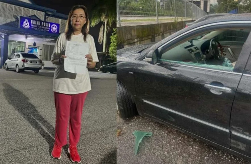 Teresa Kok's car window smashed, handbag stolen