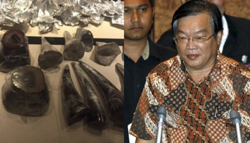 US jails M’sian for 18 months for smuggling over 200kg of rhino horns