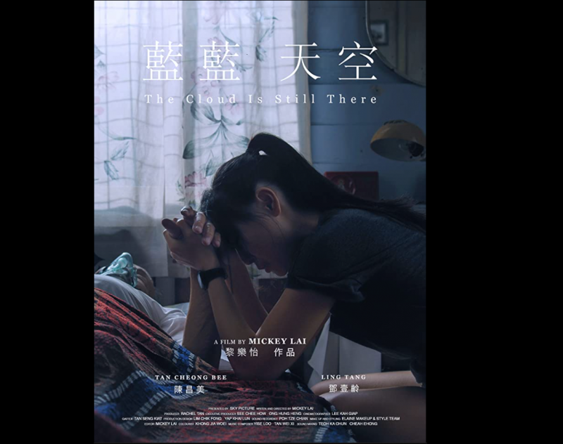 Local filmmaker recognised at international film festival