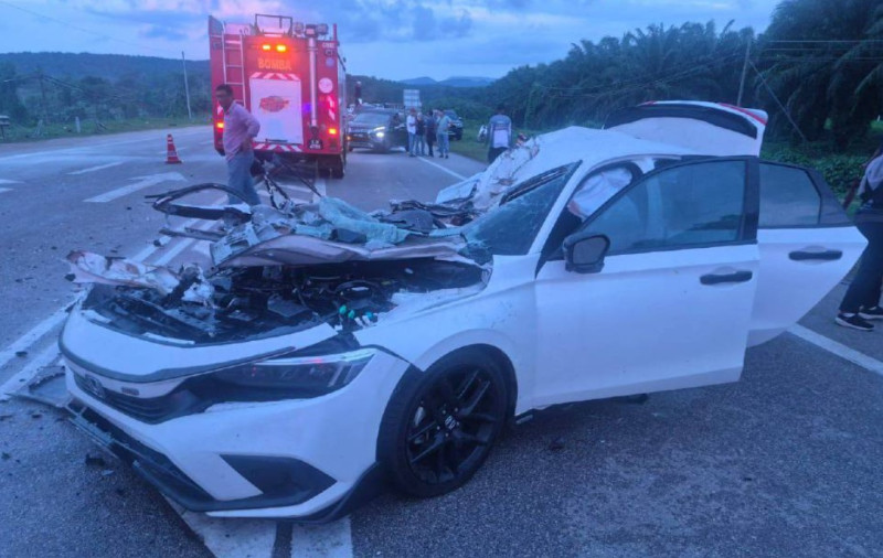 Doctor, daughter among three killed in accident