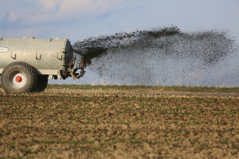 Remains of seven bodies found in Paraguay fertiliser shipment