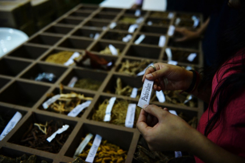 Unregulated herbal medicines and abortion pills circulated widely online 