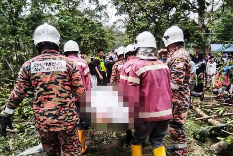 Camper killed, two injured by falling tree in Janda Baik