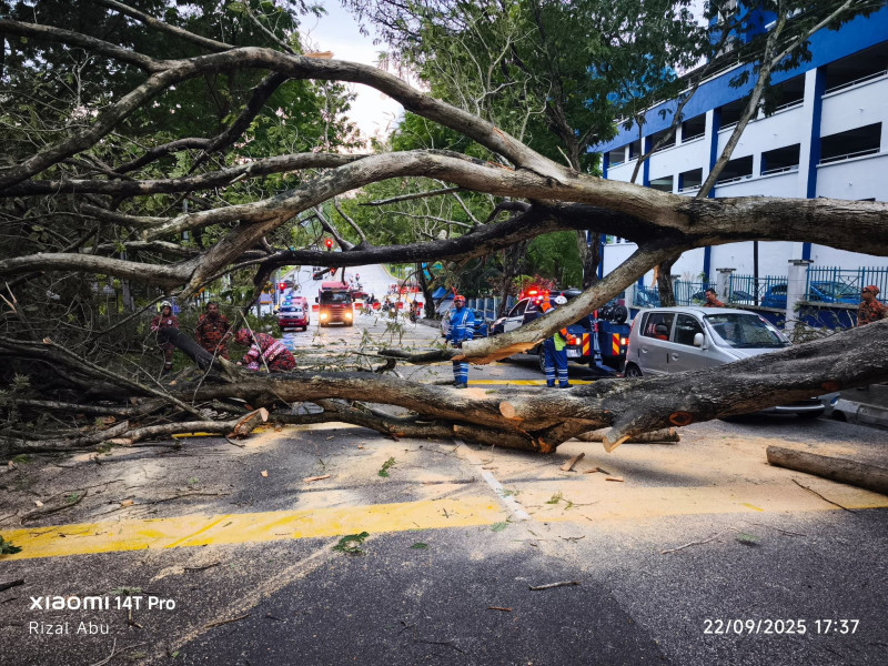 Heavy rains, strong winds wreak havoc at several locations in the capital