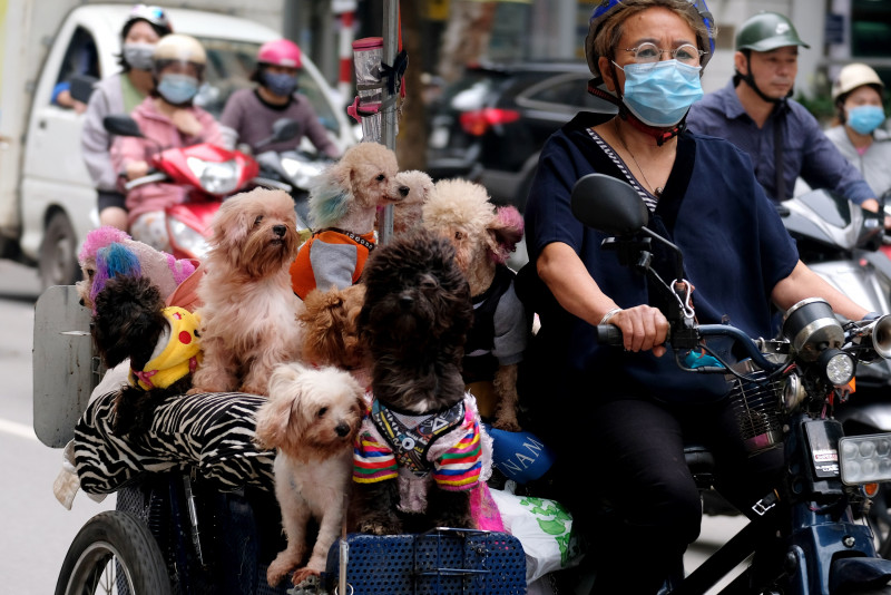 Vietnam reports cases of Indian Covid-19 variant