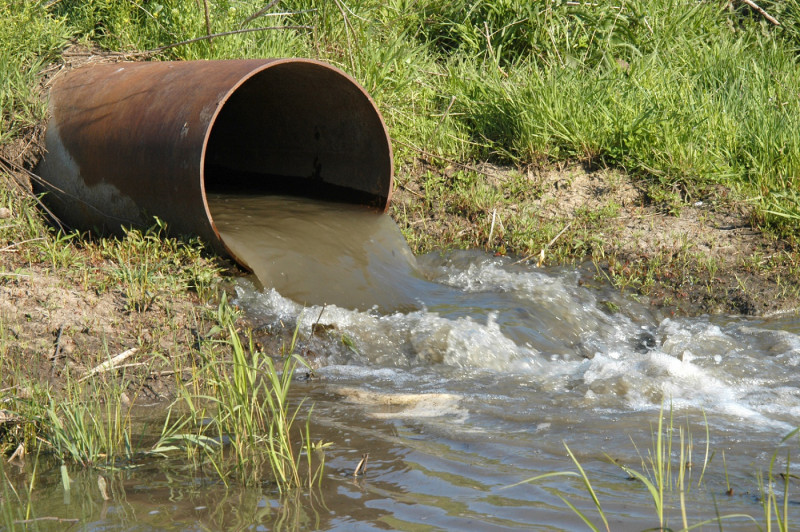 Polio found in New York City wastewater