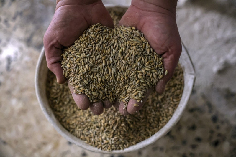 Ukraine, Russia to hold grain talks as war sends food prices soaring