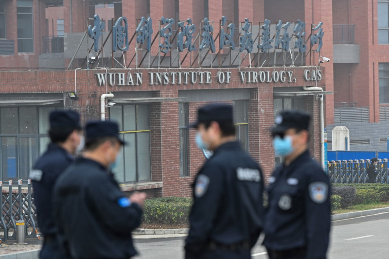Chinese scientist at centre of virus controversy denies lab-leak theory